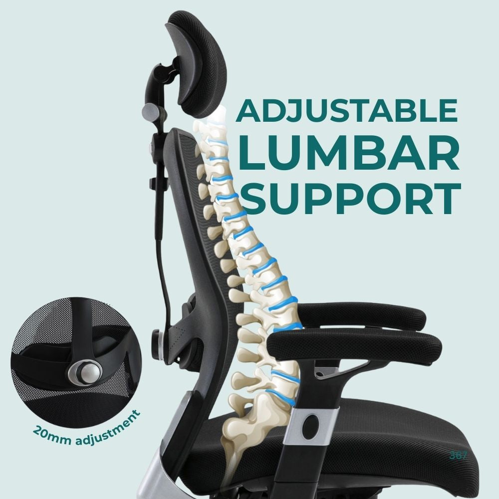 Office chair featuring 20mm lumbar adjustment with spine alignment overlay. Ideal for reducing lower back strain in workplace, school, or healthcare settings.