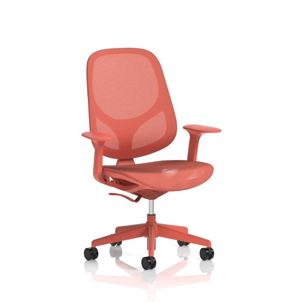 Coral mesh ergonomic office chair with breathable backrest, integrated lumbar support, adjustable armrests and five star swivel base with castors, ideal for modern office environments.