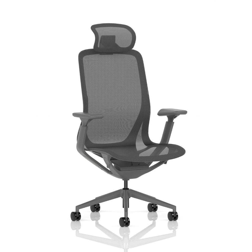 Dark grey high-back ergonomic mesh office chair with adjustable arms and a matching mesh headrest, contoured backrest, and five-wheel swivel base, shown on a white background.