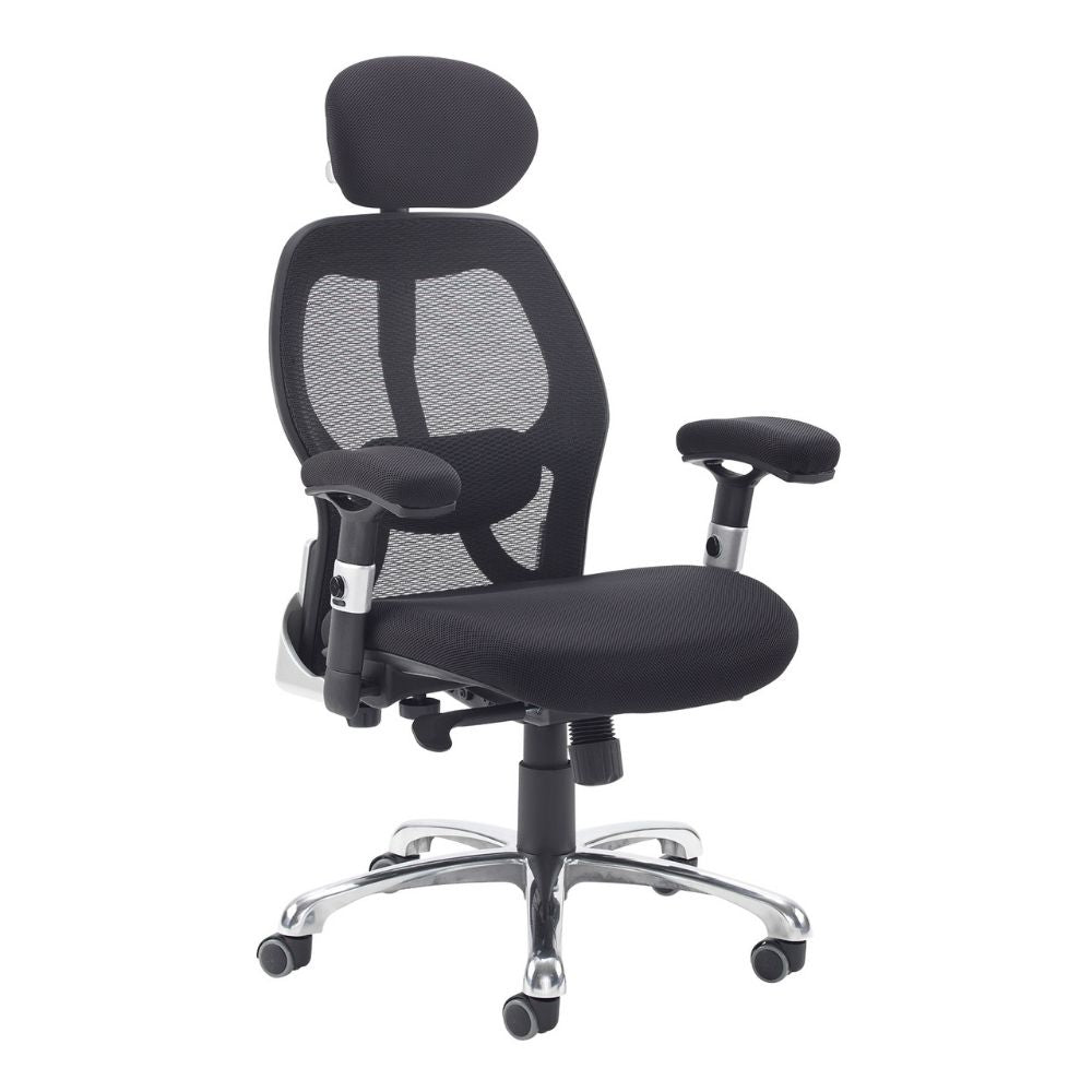 Modern ergonomic chair with breathable mesh back, cushioned seat, adjustable armrests, and headrest. Chrome five-wheel base ensures stability and mobility for professional workspaces.