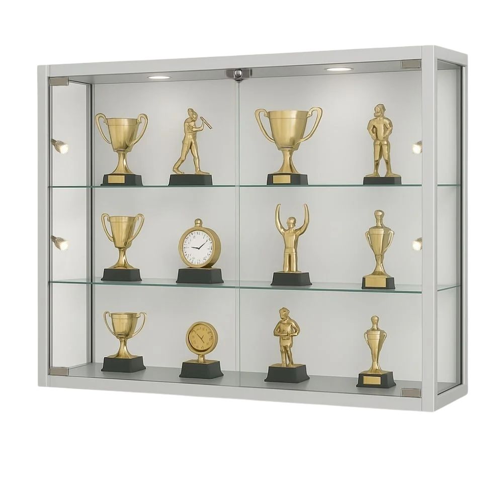 Wall-mounted glass case with built-in lighting and 12 gold trophies, perfect for professional award displays.
