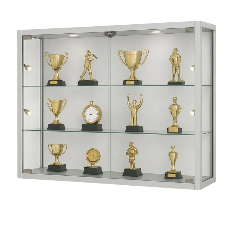 Wall-mounted glass case with built-in lighting and 12 gold trophies, perfect for professional award displays.